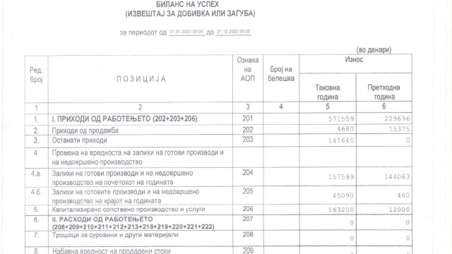 Финансиски извештај 2020 година    Fınanas raporları 2020